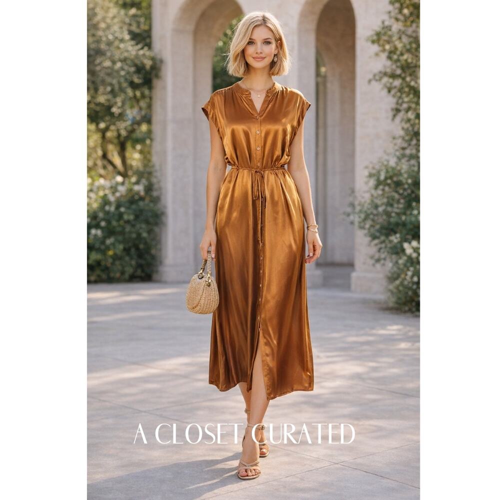 Raquel Allegra Violet Satin Maxi Dress 2 Brown NEW